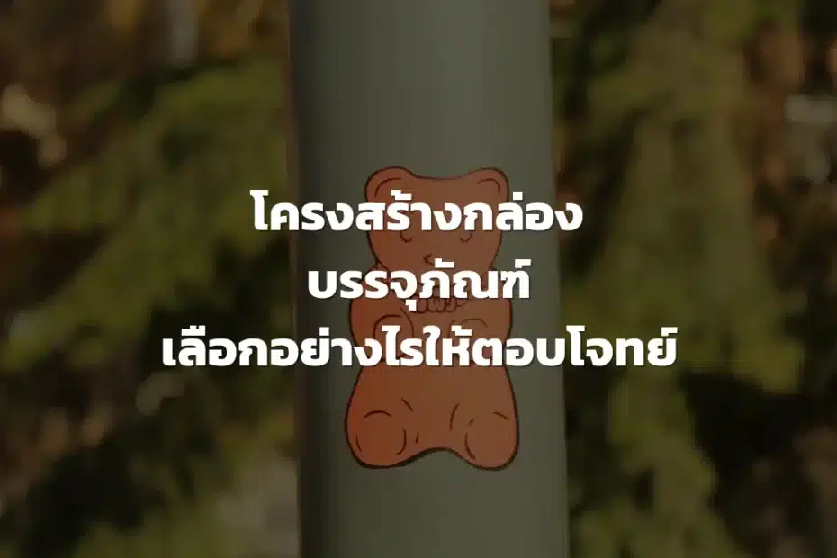 โครงสร้างกล่องบรรจุภัณฑ์